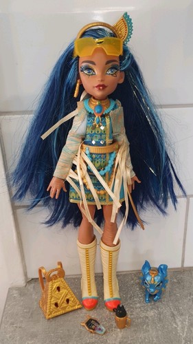 Monster high puppe und - high,